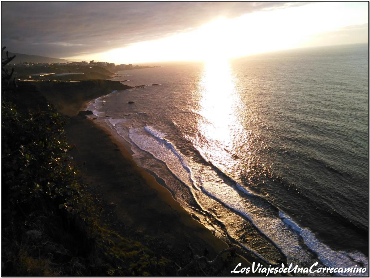 Dragos Del Mar , Espacio Natural La Orotava Exterior photo