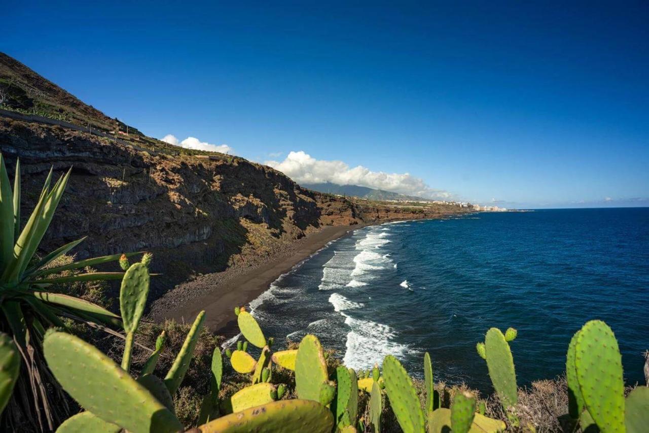 Dragos Del Mar , Espacio Natural La Orotava Exterior photo